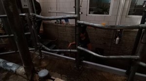 Экоферма Джерси | Калужская область