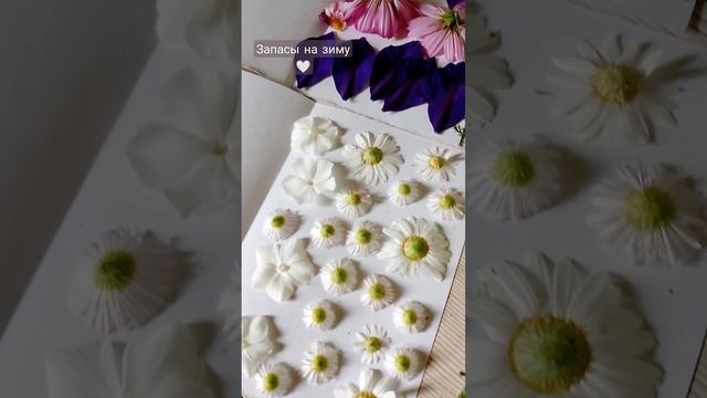 Делаем запасы на зиму для заливки эпоксидной смолой? смотреть онлайн