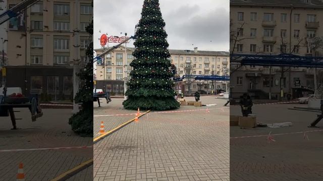 Ставят ёлку - 2 смотреть онлайн