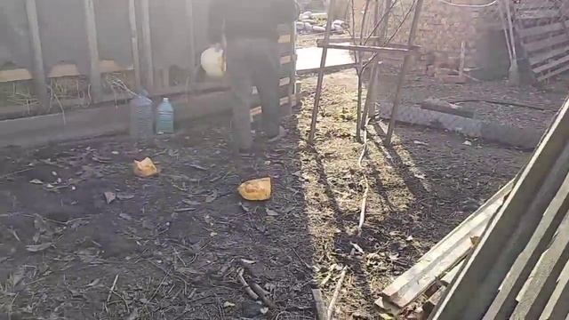 Сажаем, готовим.Чудо-курица. Так и живём. Жизнь на пенсии. смотреть онлайн