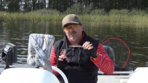 DUO Realis Jerkbait  (Воблер из моей коробки)