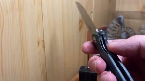 Складной нож Ganzo Firebird, FH41-GY, супер!