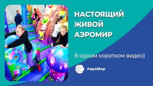 Настоящий, живой АэроМир - в одном коротком видео