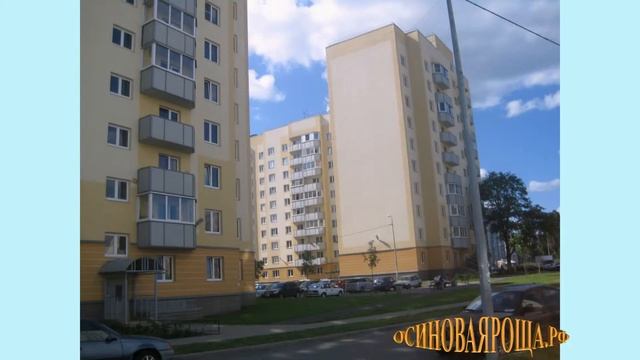 Санкт Петербург Осиновая роща 2013 г Фото шоу смотреть онлайн