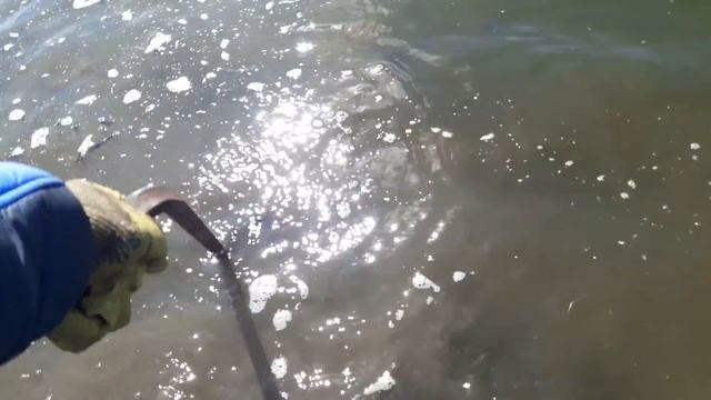 По болоту в поисках железа! смотреть онлайн