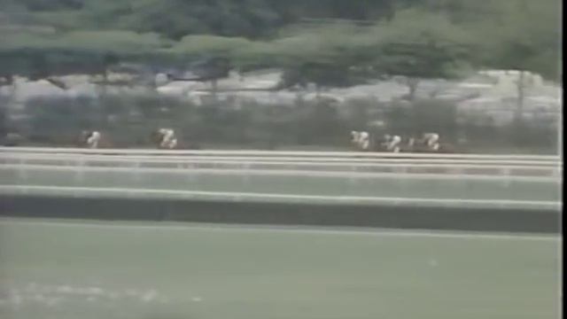 Java Gold - 1987 Marlboro Cup смотреть онлайн