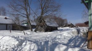 Деревни в глубинке России. Уютная деревня у леса. Заброшенные дома в деревне. Деревня живет.