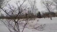 Как кататься на лыжах по парку.