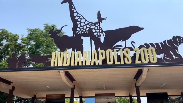 ДАЛЕКОБІЙ | ЕТНІЧНА ПОДОРОЖ ПО США | СКІЛЬКИ ЗАРОБИЛИ ПРИ ПОГАНОМУ МАРКЕТІ смотреть онлайн