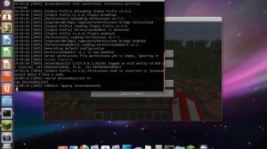 How to use simple-prefix in minecraft bukkit server