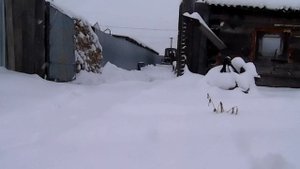 Завалило снегом, делаю ковшь на навеску и чищу снег .
