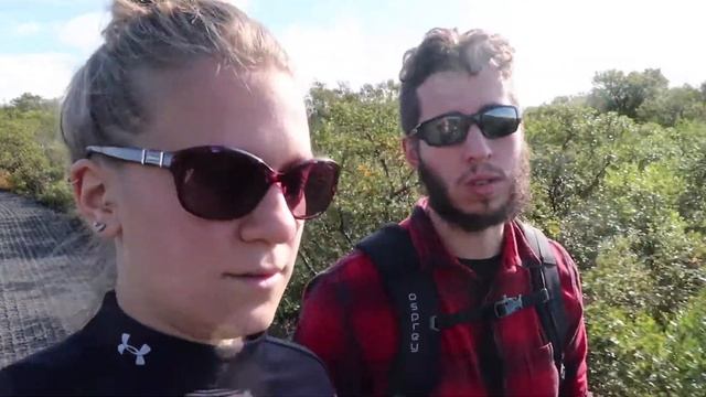 Svartifoss Waterfall // Glaciers // Iceland Ring Road Trip, Day 4 смотреть онлайн