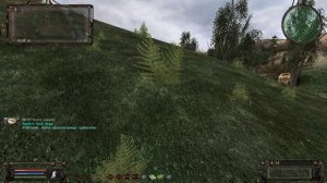 S.T.A.L.K.E.R. 2023. Отравление. Часть #127 НС+OGSR  Патч от 01.2023