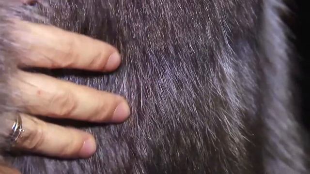 Шубы смотреть онлайн