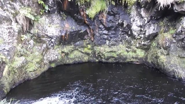 Canon Powershot sx60 zoom смотреть онлайн