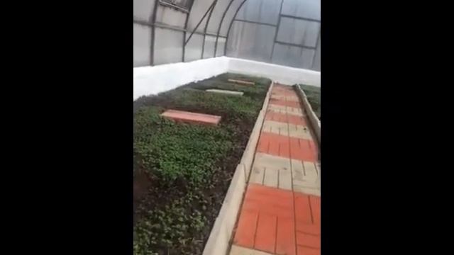 Клуб "БАЙКАЛ". Природное экологичное земледелие