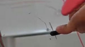 Технология ремонта лобовых стекол. Ремонт сколов и трещин на реальных примерах