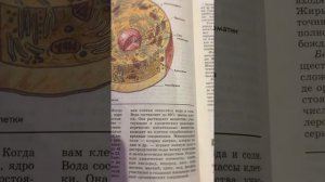 Биология 9 кл/Батуев/Тема 1 Строение и химический состав клетки/04.02.2020