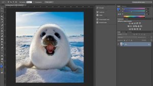 Инструмент лассо в фотошопе