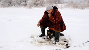 Ловля на шарагу и каракатицу. Нюансы