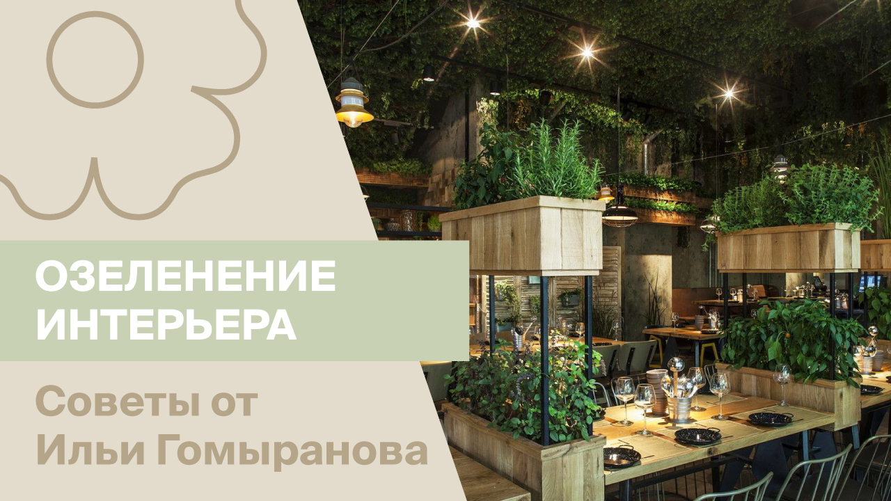 Озеленение интерьера растениями открытого грунта | Советы от Ильи Гомыранова
