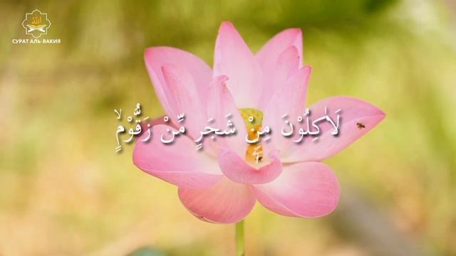 Это самый полезный ДУА слушай утром и вечером ДУА БАРАКАТ, РИЗК, БОГАТСТВО И ДУШЕВНОГО ПОКОЯ смотреть онлайн