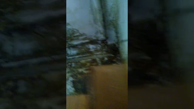 Капремонт, УК Авангард. Г. Саратов смотреть онлайн