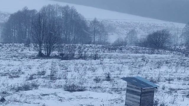 Цесарки выросли. Единственного самца бьют. Обманули с сеном.Обход сарая. Памелла сбежала с детьми. смотреть онлайн