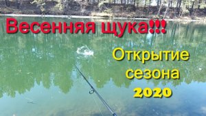 Рыбалка. Щука. Сезон 2020. Весенняя рыбалка на спиннинг