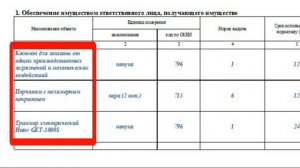 Как заполнить карточку учета имущества в личном пользовании (ф. 0509097)
