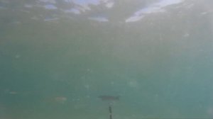 Подводная охота с "Марусей"