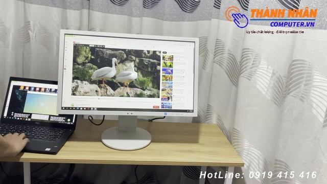 Review Màn Hình NEC AS233WM FullHD 1920 x 1080: Chuyên đồ hoạ смотреть онлайн