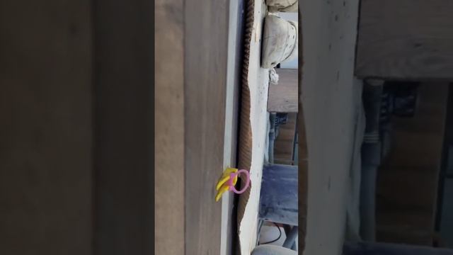 примыкания ламината к плитке в один уровень смотреть онлайн