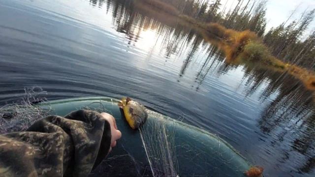 КУДА ДЕЛАСЬ ВСЯ РЫБА? РЫБАЧИМ С БАТЕЙ НА ЛЕСНОМ ОЗЕРЕ. ОТЛИЧНЫЕ ВЫХОДНЫЕ В ОСЕННЕМ ЛЕСУ! смотреть онлайн