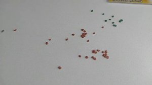 Инкрустация и дражирование семян