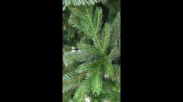 3119656 Ель Звездная 230 смотреть онлайн