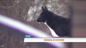 В Перми пенсионер живет в фургоне, ожидая страховки за сгоревший дом