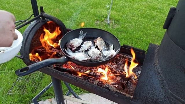 Жаренная рыба на мангале. Жаренные хрустящие караси