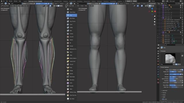 Part 03 - Sculpting The Legs