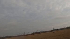 Охота на гуся с подхода осень 2022
