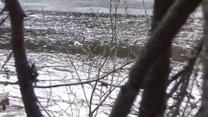 Суровые будни весновки 2023 #9 Процесс пошел