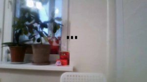 Хагги слушает музон!