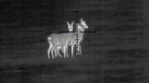 Охота с тепловизионным прицелом LEGAT Gen2 LITE от Electrooptic: профессиональные стрелки оценят