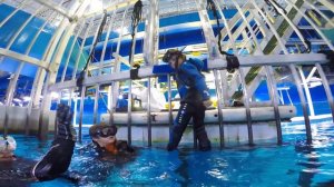 САМОЕ СТРАШНОЕ МЕСТО! Аминка ДО СЛЕЗ ИСПУГАЛАСЬ АКУЛ! У Камиля ВЫРОС НОС? БЕССТРАШНЫЙ ПАПА Кикидо!