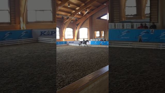 КСК "Пегас", 09.04.2017, соревнования "Предварительный приз, дети А" смотреть онлайн