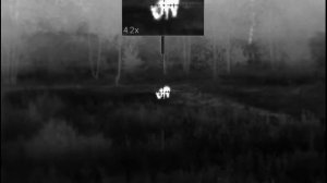 Охота на волка на приваде