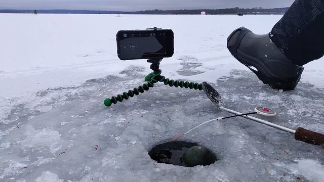 ЛЕЩИ МАШУТ ХВОСТАМИ В ЛУНКЕ; как вкусно накормить леща Лёши ; Акатово, 25 января смотреть онлайн