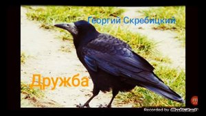 ДРУЖБА ? рассказ ? аудио ? автор Георгий Скребицкий ?