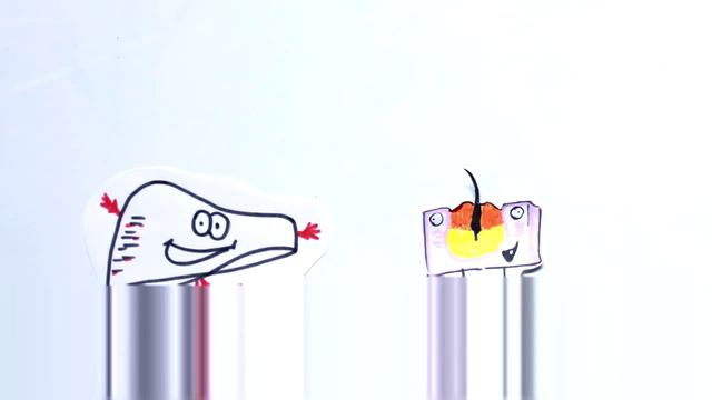 Ноучпок   Сколько лет вашим ушам
