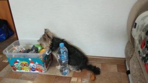 Медитация 🤭